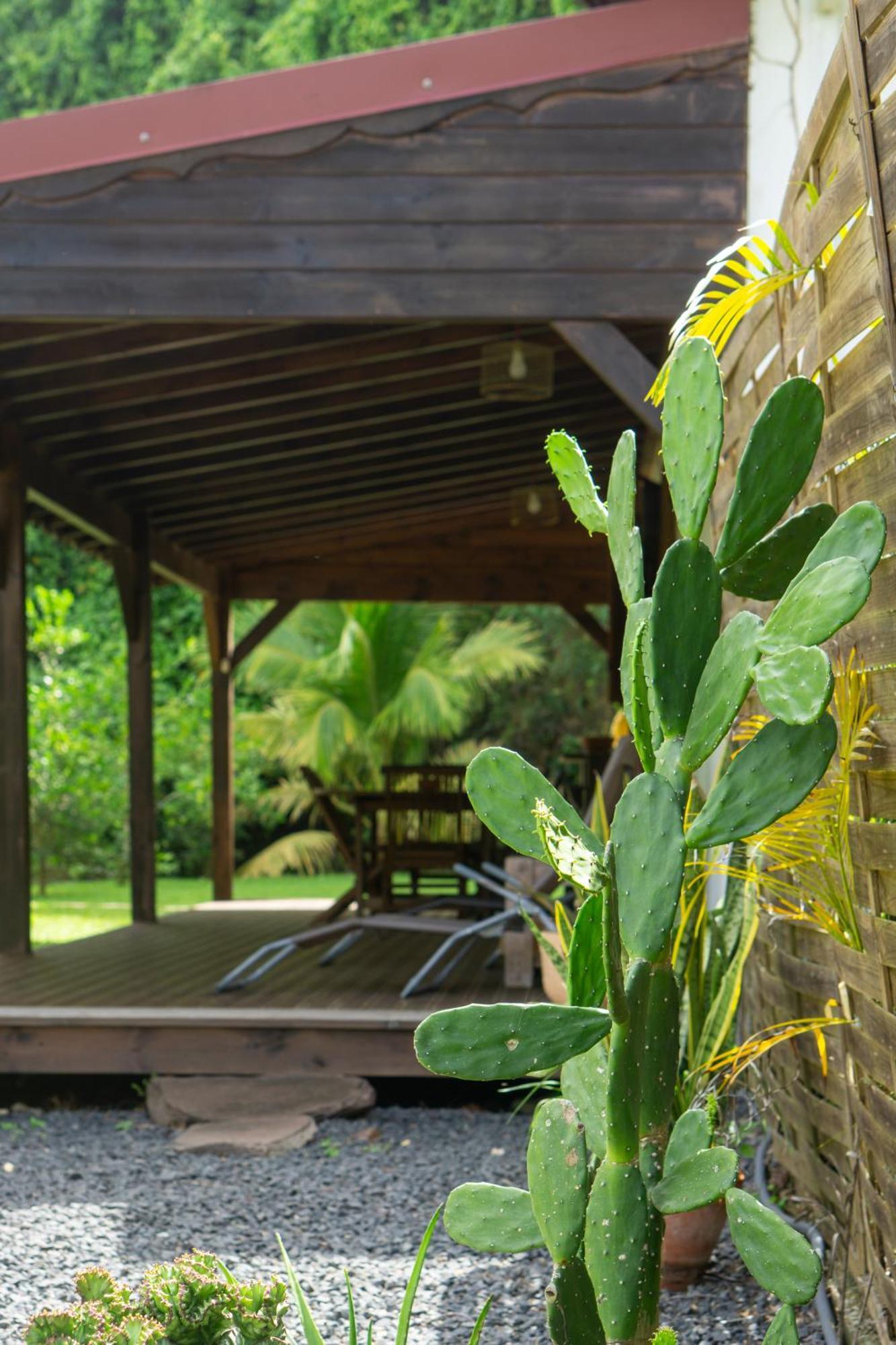Villa Au Calme Avec Jacuzzi, Villa Le Boursoie Les Abymes Exterior foto